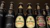 pivo