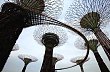 Fotografie pr�v� dokon�en� stezky Skyway, jej� v�stavbu sponzorovala singapursk� banka OCBC