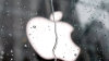 Apple logo d隝