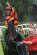 1010455089_ageofjape1_244x367_.jpg