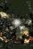 1011119474_stej_02_288x433_.jpg