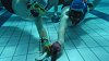 Podvodn� hokej nebo �norchlov�n� v mo��le. P�t bizarn�ch sport�, o nich� jste mo�n� nikdy nesly�eli�