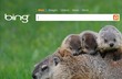 Bing, vyhledávač společnosti Microsoft Bing, vyhledávač společnosti Microsoft