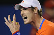 Andy Murray