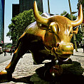 Býk jako jeden ze symbolů Wall Street, ilustrační foto