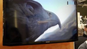 Fraunhofer_eagle.mp4.jpg
