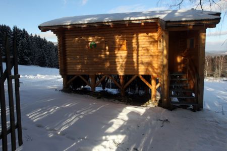Pozorov�n� jelen� v �umavsk�m Srn�