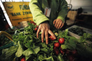 Food Bank SOS