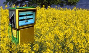 biofuel_350_210.jpg