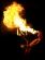 1024618019_Burnt_Out_Punks_332x433_.jpg