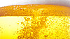 Pivo, ilustra�n� foto