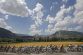 1023061420_0715SPORT_CYKLISTIKA_SILNICNI_TOUR_11_330_650x433_.jpg
