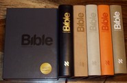 Bible 21. století Bible 21. století