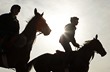 R�no na britsk�m z�vodi�ti Cheltenham