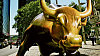 B�k jako jeden ze symbol� Wall Street, ilustra�n� foto