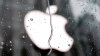 Apple ztr�c� lesk