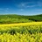 Sou�asn� poslanci ji� o biopalivech nerozhodnou