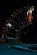 1024618019_cr_dit_Christophe_RAYNAUD_DE_LAGE3_289x433_.jpg