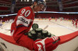 Tom� Hertl