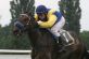 1010455089_royalmougins_550x367_.jpg