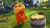 Lorax kombinuje akční gagy s muzikálovými čísly.