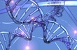 DNA