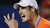 Andy Murray