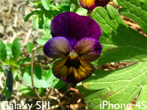 Test fotoaparátu Samsung Galaxy SIII ve srovnání s iPhonem 4S