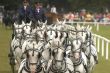 962812808_NDSC_0095_550x367_.jpg