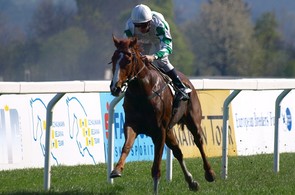 Rabbit King a �okej Martin Srnec