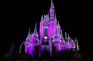 Disney world v Orlande. Sn�mka: arch�v