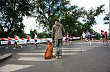 marathon01