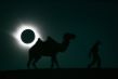 To nejzajímavější z fotografií agenutry Reuters. To nejzajímavější z fotografií agenutry Reuters.
