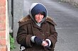Bezdomovkyn�, ilustra�n� foto