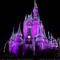 Disney world v Orlande. Sn�mka: arch�v