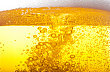 Pivo, ilustra�n� foto