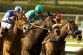 1013928050_0314USA_ARCADIA_SANTA_MARGARITA_STAKES_HORSE_506_650x433_.jpg