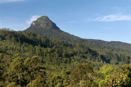 Adam�v vrch, Sr� Lanka