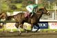 1013928050_0314USA_ARCADIA_SANTA_MARGARITA_STAKES_HORSE_580_650x433_.jpg