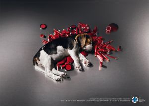 www.ibelieveinadv.com