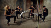 Prvním hostem Brava byl Pavel Haas Quartet.