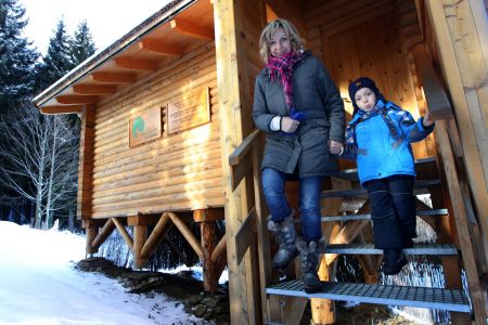 Pozorov�n� jelen� v �umavsk�m Srn�