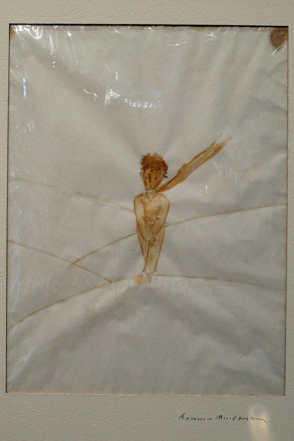 Mal&yacute; princ dra�ba