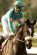 1013928050_0314USA_ARCADIA_SANTA_MARGARITA_STAKES_HORSE_585_288x433_.jpg