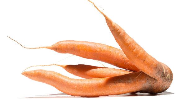 V&yacute;stava je sou�&aacute;st&iacute; kampan� Jsem p�ipraven, kter&aacute; poukazuje na fakt, �e jedin&eacute;, �&iacute;m se &bdquo;k�iv&aacute;&ldquo; &uacute;roda li&scaron;&iacute;, je vzhled plod�.