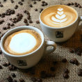 Bez �epice z ml��n� p�ny a bez sko�icov�ho posypu. Takto m� vypadat cappuccino.