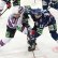 Momentka z KHL a zápasu mezi Dynamem Moskva a SKA Petrohrad