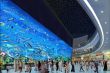962884338_dubai_nakupni_centrum_06_550x367_.jpg