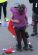 1030251324_pena4_303x433_.jpg