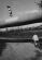 1047233013_011_Kolar_20010_304x433_.jpg